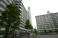 新宿の繁華街から外れた場所には、集合団地の並ぶ地域が見られる。
