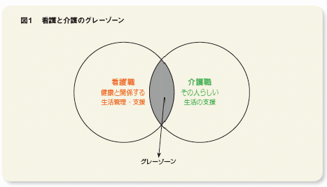 図1：看護と介護のグレーゾーン