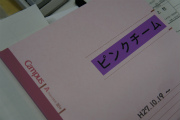 ピンクチーム？ん？？　と思い、聞いてみると、チームが色分けされているとのこと。